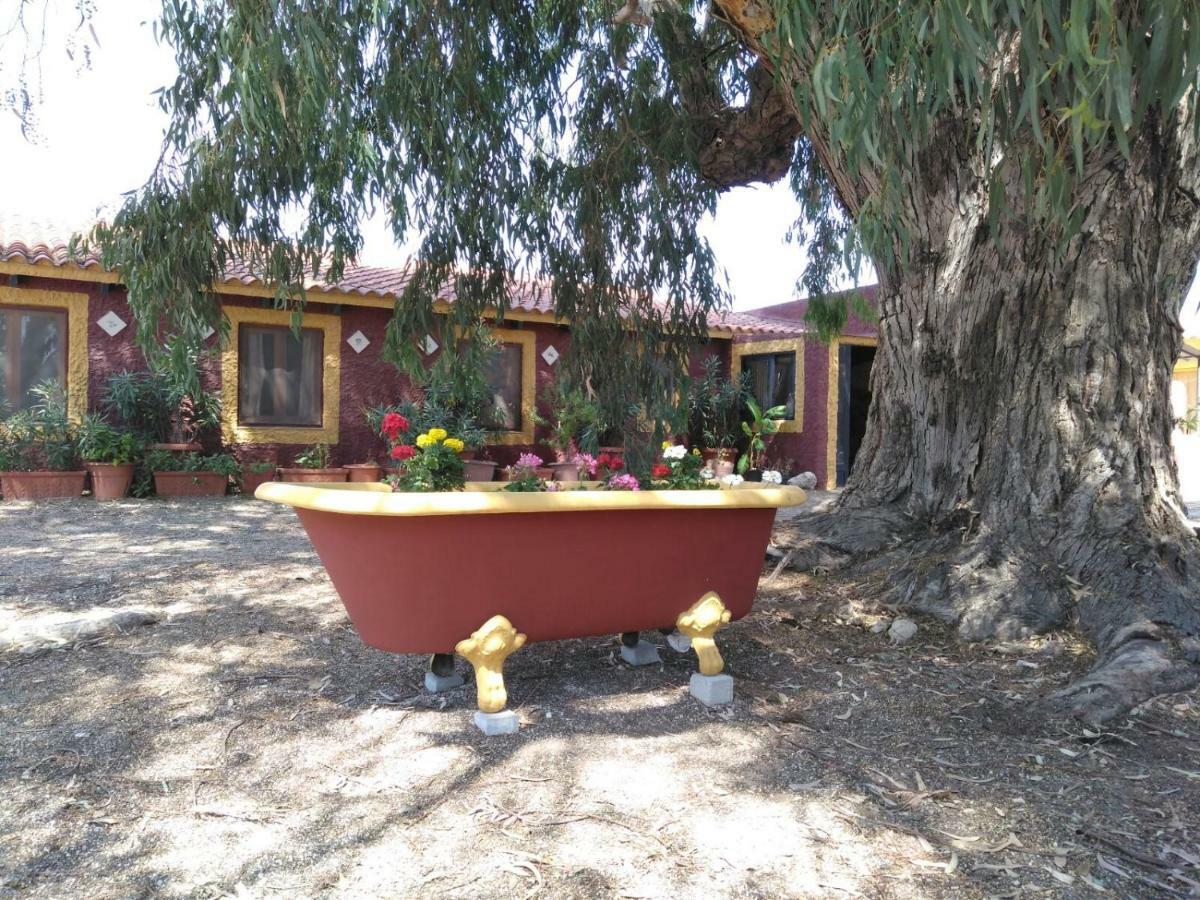 Casa Del Procurador Affittacamere Las Virtudes Esterno foto